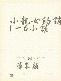 小龙女的销魂夜1一6小说