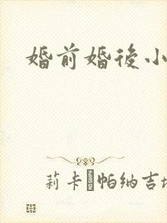 婚前婚后小说封面