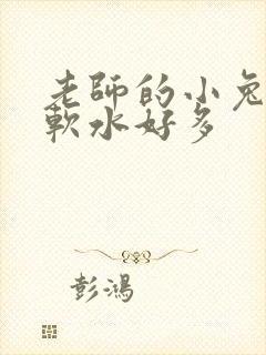 老师的小兔子好软水好多