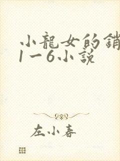 小龙女的销魂夜1一6小说