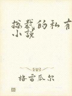 总裁的私有宝贝小说