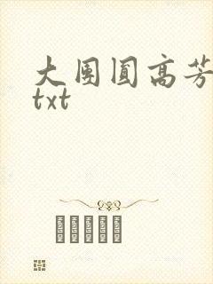 大团圆高芳小说txt