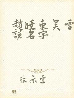 赵晓东吴雪晴小说名字