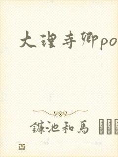 大理寺卿po封面