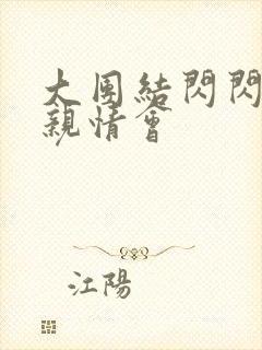 大团结闪闪发光亲情会封面