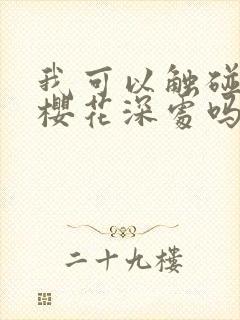 我可以触碰你的樱花深处吗