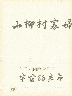 山柳村寡妇情史