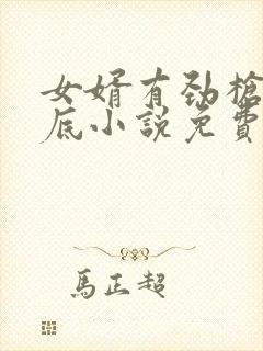 女婿有劲枪枪到底小说免费阅读