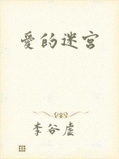 爱的迷宫