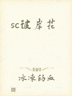 sc彼岸花封面