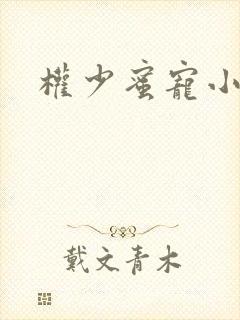 权少蜜宠小娇妻封面