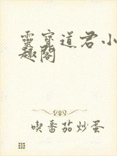 灵宝道君小说笔趣阁