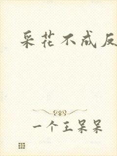 采花不成反被采封面