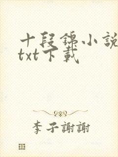 十段锦小说全本txt下载