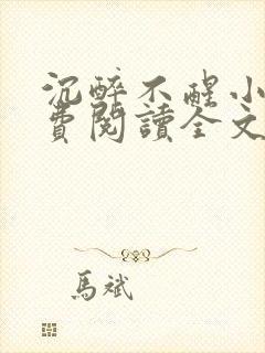 沉醉不醒小说免费阅读全文无弹窗封面