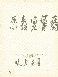 原来你还在这里小说免费阅读