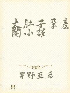 大肚子孕产笔趣阁小说