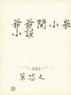 爷爷开小米的包小说