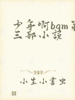 少年啊bgm第三部小说