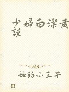 少妇白洁黄色小说