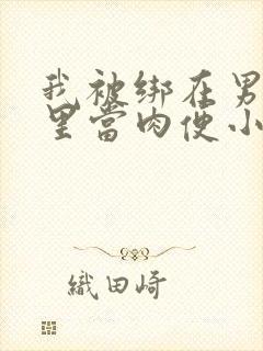 我被绑在男公厕里当肉便小说