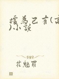 据为己有(高干)小说