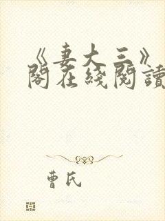 《妻大三》笔趣阁在线阅读封面