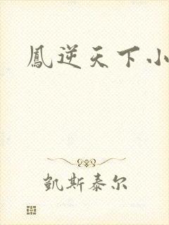 凤逆天下小说