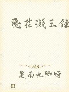 飞花溅玉录