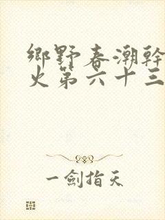 乡野春潮干柴烈火第六十三章