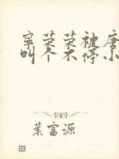 宁荣荣被唐三桶叫个不停小说