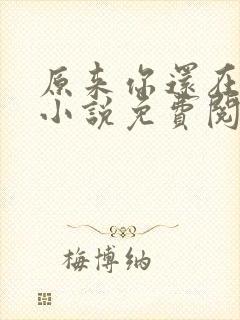 原来你还在这里小说免费阅读