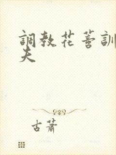 调教花蒂训诫从夫