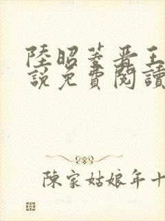 陆昭菱晋王的小说免费阅读