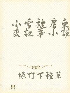 小雪被房东的好爽故事小说