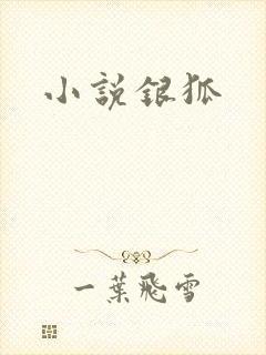 小说银狐