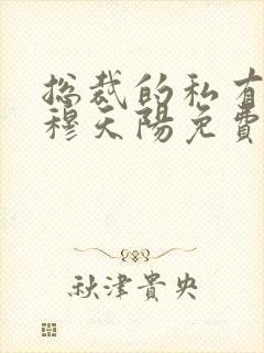 总裁的私有宝贝穆天阳免费封面