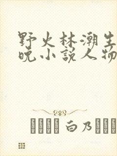 野火林潮生林晚晚小说人物野火