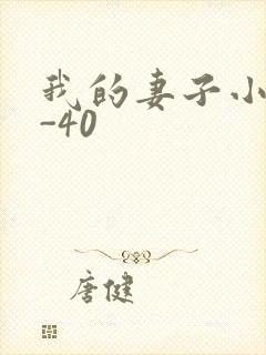 我的妻子小谨1-40