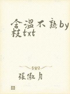 含温不熟by词枝txt
