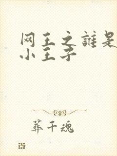 网王之谁是我的小王子