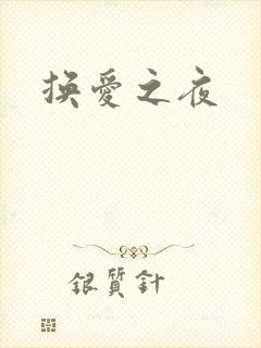 换爱之夜