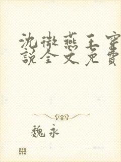 沈微燕王穿越小说全文免费阅读