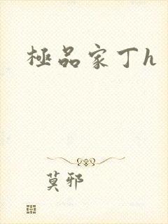 极品家丁h封面