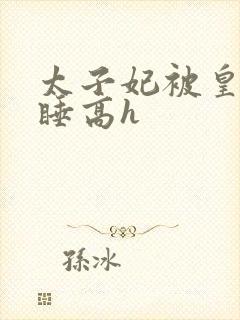 太子妃被皇上强睡高h