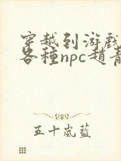 穿越到游戏里和各种npc赵青蔓封面