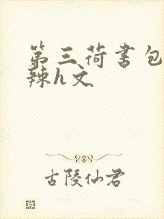 第三荷书包网高辣h文