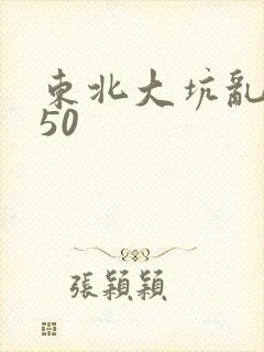 东北大坑乱1—50封面