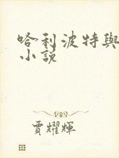 哈利波特与密室小说封面