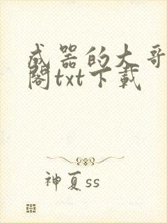 成器的大哥笔趣阁txt下载